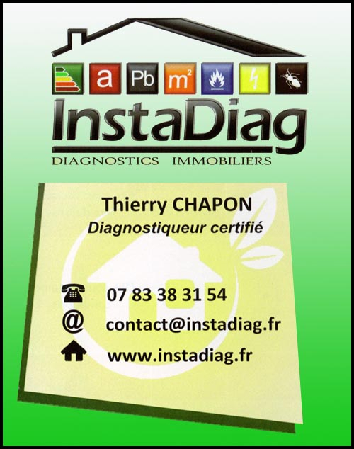 instadiag - thierry chapon, , diagnostic immobilier,
